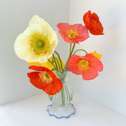 Clear glass envelope bud vase with blue ruffled top and bottom rim. Styled with bright red and coral poppies.